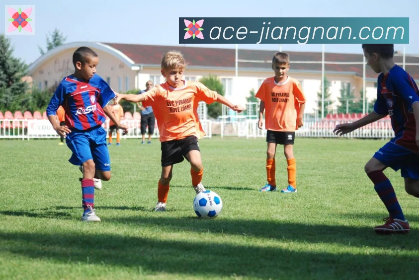 江南体育荣誉